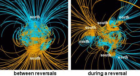 Supercomputer models of Earth's magnetic field. On the left is a normal dipolar magnetic field. On the right is the sort of complicated magnetic field Earth has leading up to a reversal. Credit: NASA